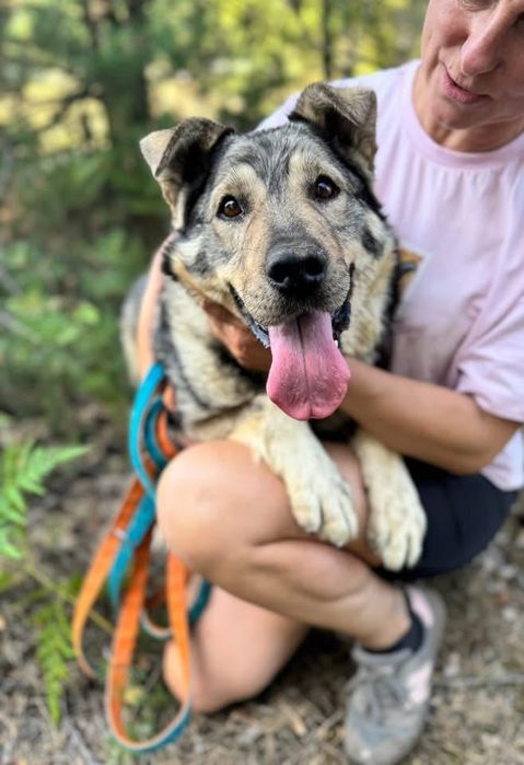 SILVER - najpogodniejszy misiaczek do pokochania!