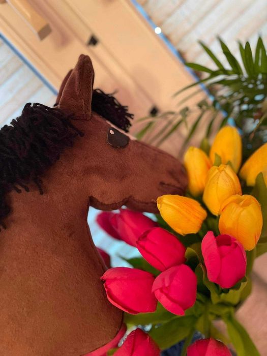 Hobby horse z akcesoriami