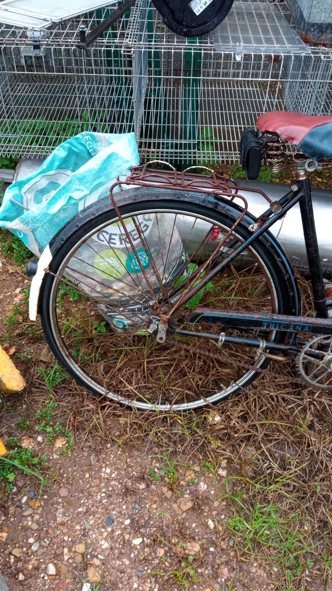 Bicicleta de senhora marca tricana