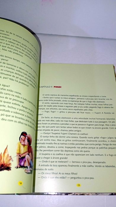 Há Fogo na Floresta - Ana Maria Magalhães