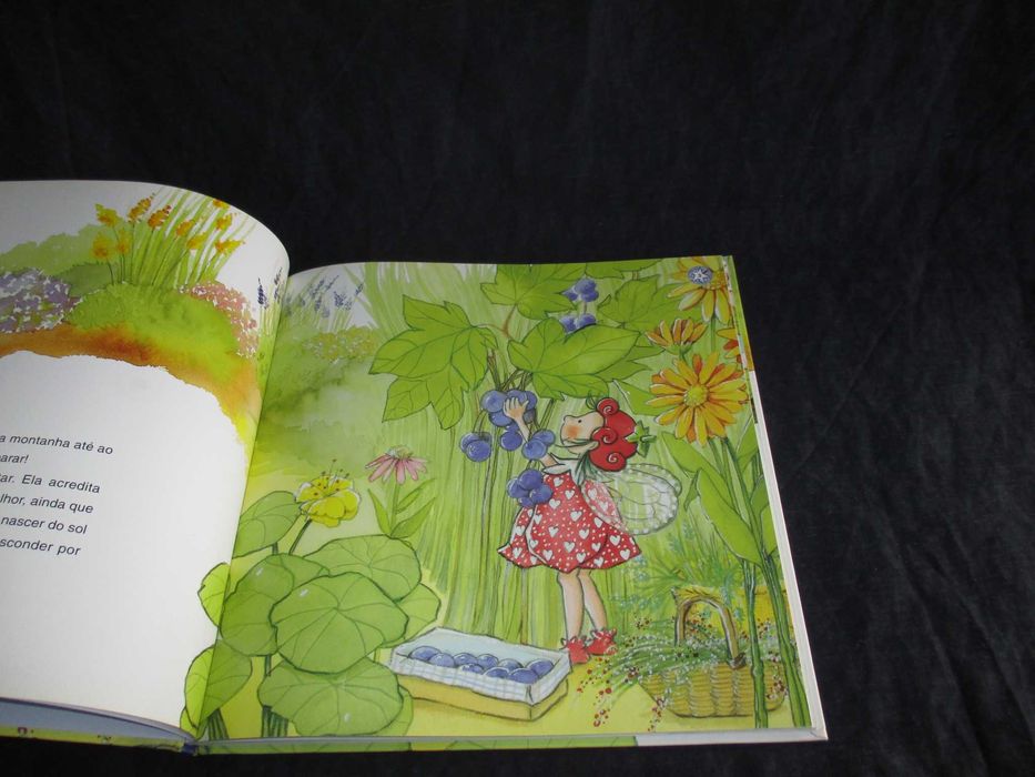 Livro As Fadas falam-nos de solidariedade Aleix Cabrera