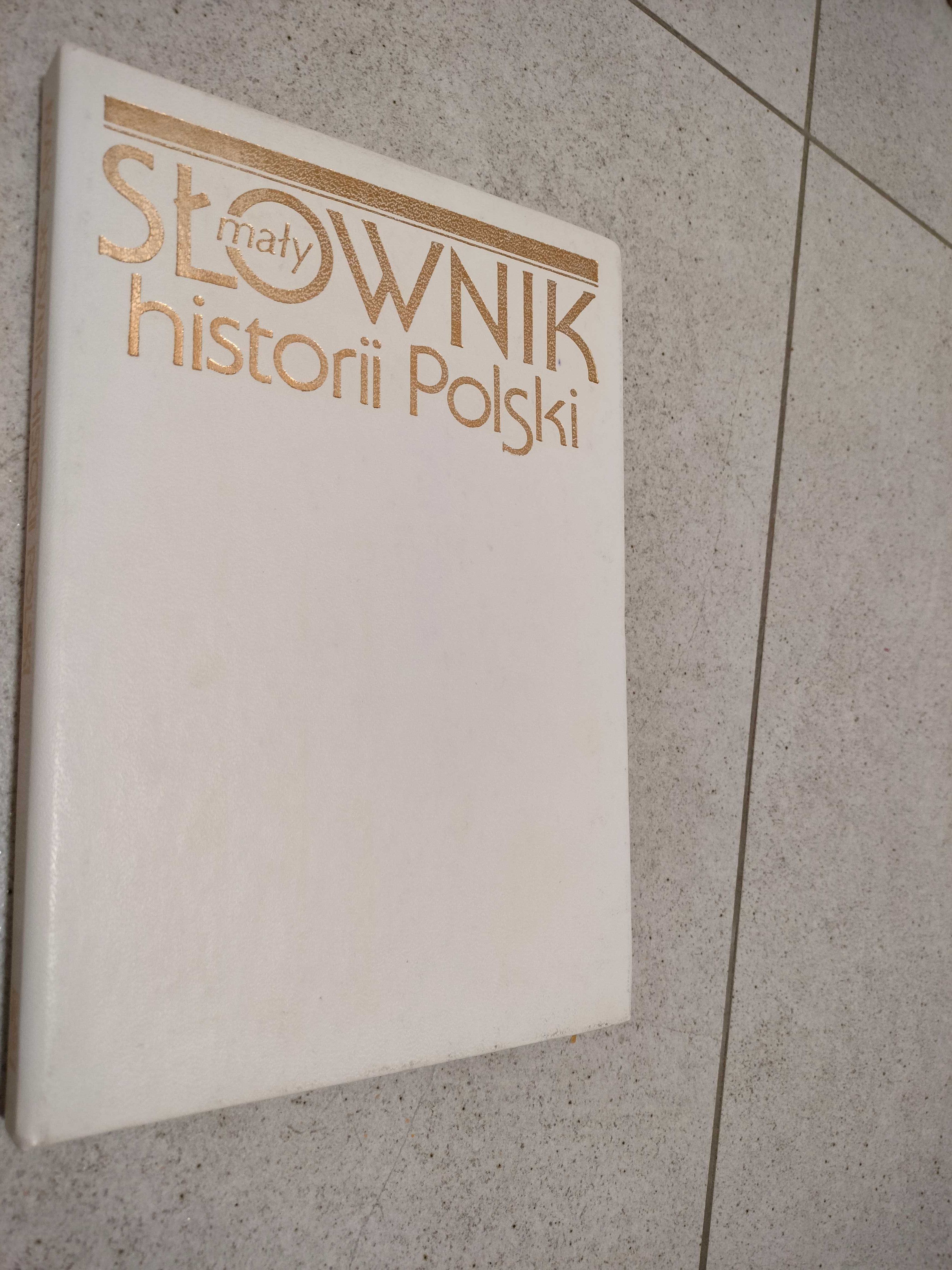 Mały słownik historii Polski – Witold Sienkiewicz
