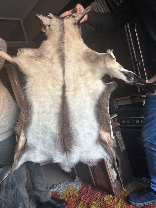 Tapete de pele de cabra