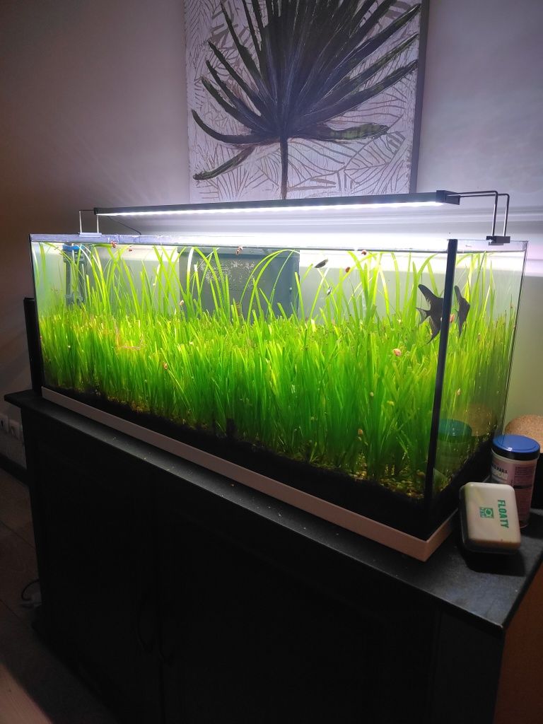 Aquário  com led