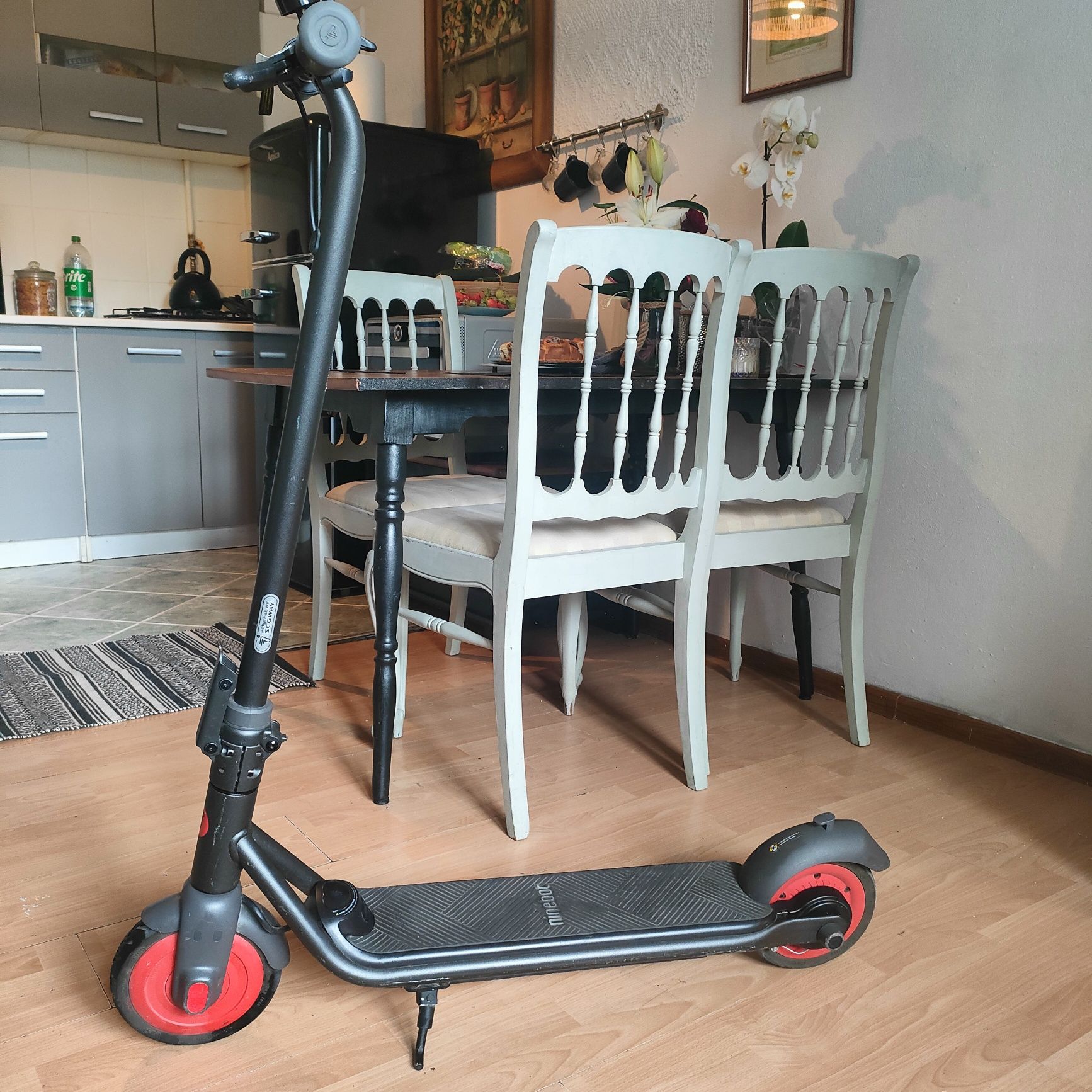 Hulajnoga elektryczna od 10 roku życia, Ninebot ZingC20