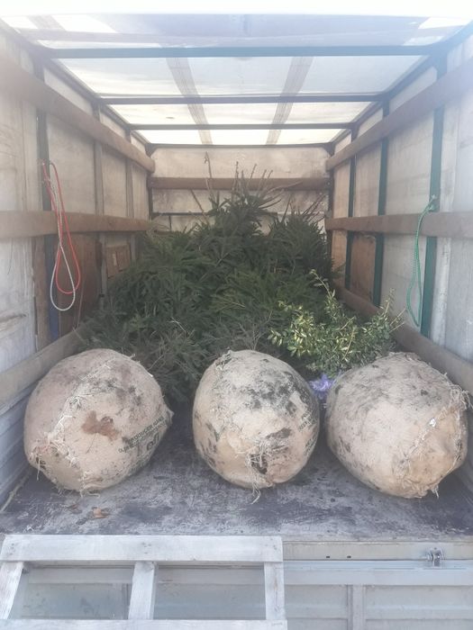 Грузоперевозки область,межгород