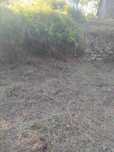 Limpeza de terrenos