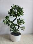 Sztuczne bonsai Ikea