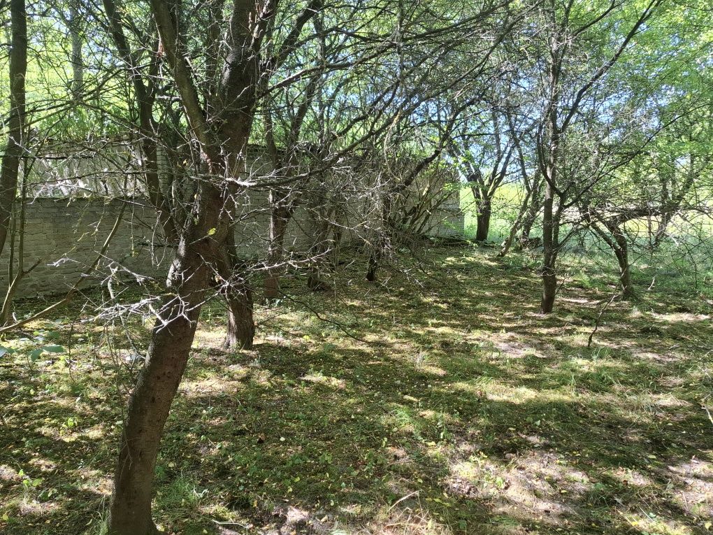 Udział w gruncie 1/2 działka Karnice Puszcza Mariańska 4800 m2