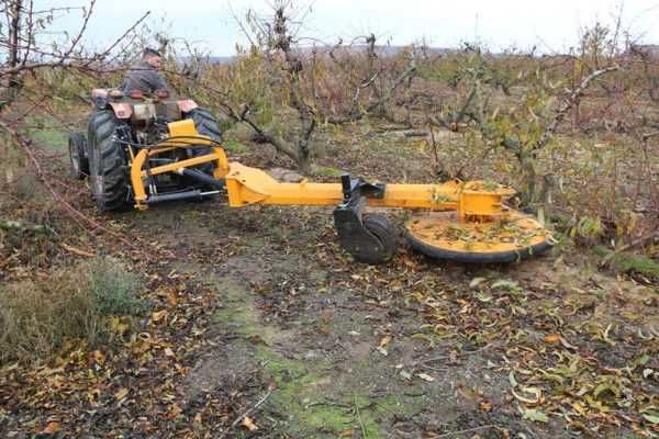 Mechaniczna tarcza do ścinki drzew SERRAT