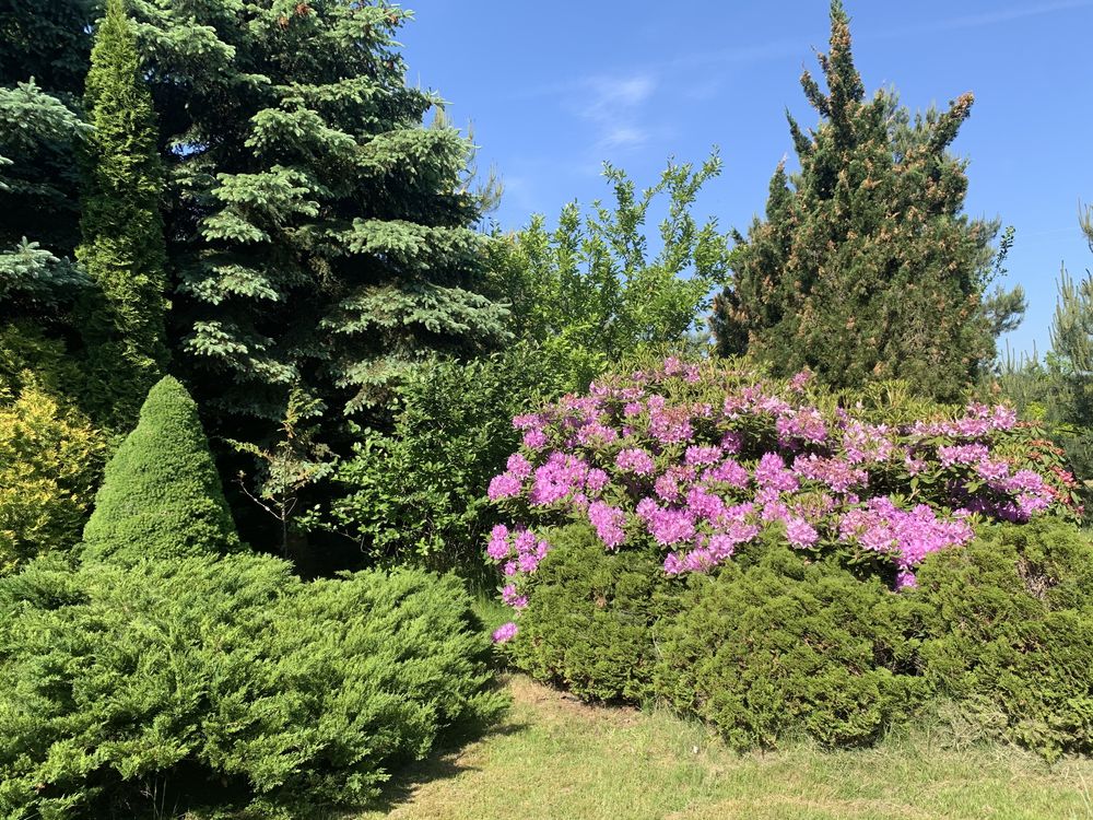 Caloroczny dom, blisko jeziora i pieknych lasów.Lubelszczyzna