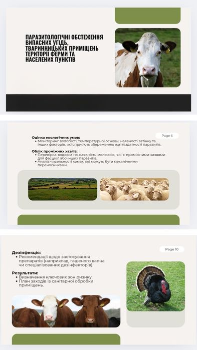 Дизайн презентації
