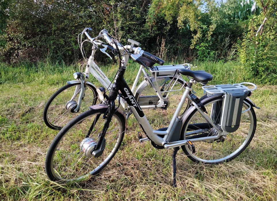 Rower Gazela. Rower Geant .