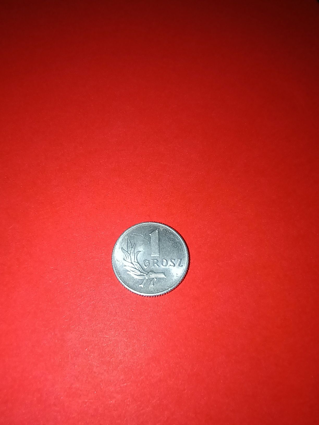 Moneta 1 grosz unikat rok 1949 okazja