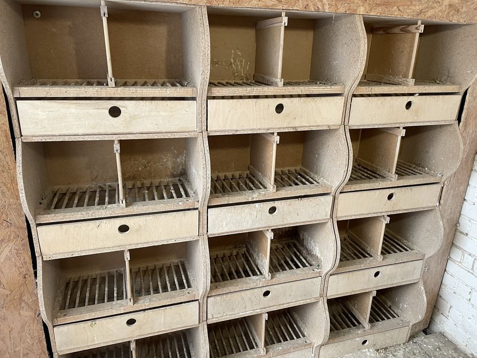 Cele dla młodych uniwersalna