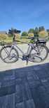 Gazelle heavy duty bosch active line plus