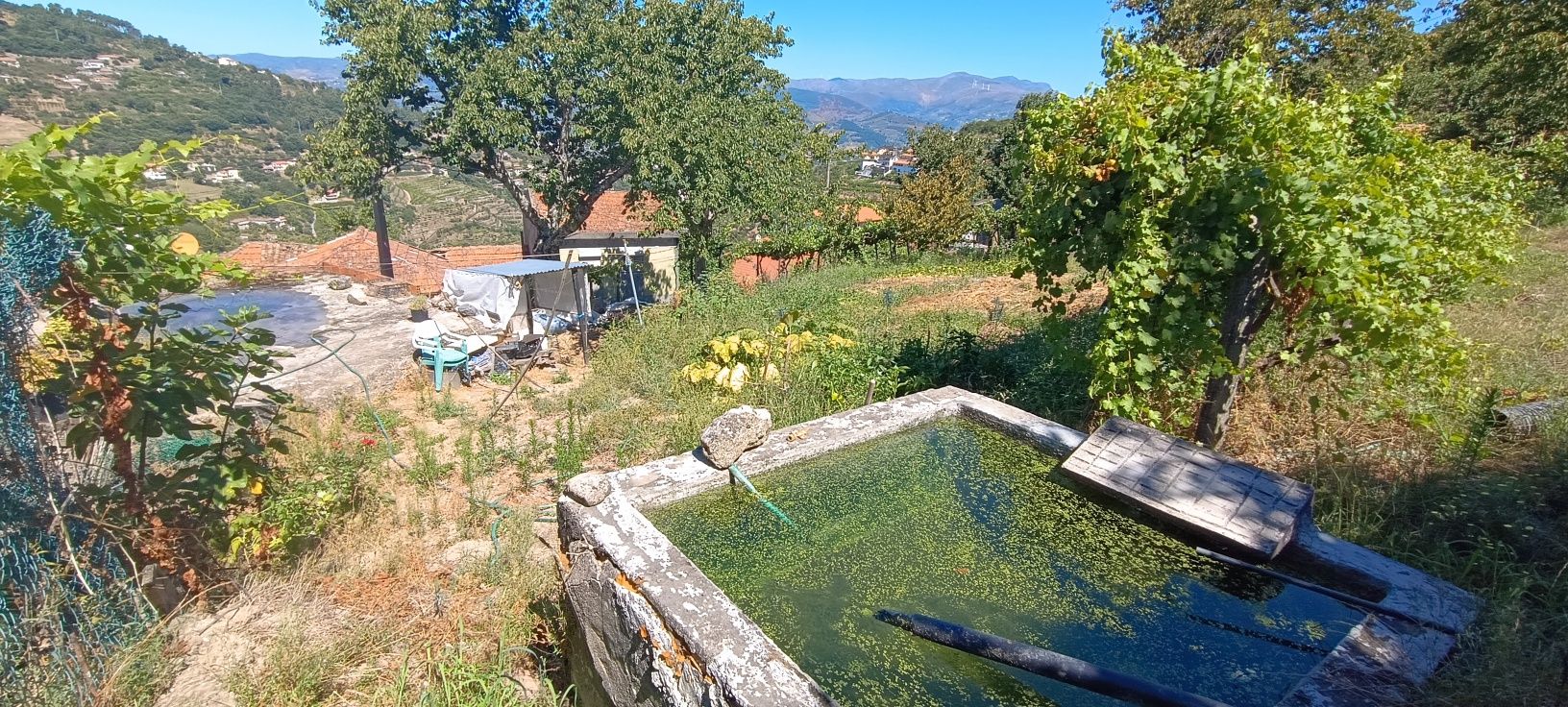 Terreno para venda