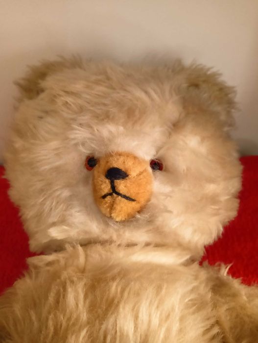 Miś, maskotka, trociniak, stary