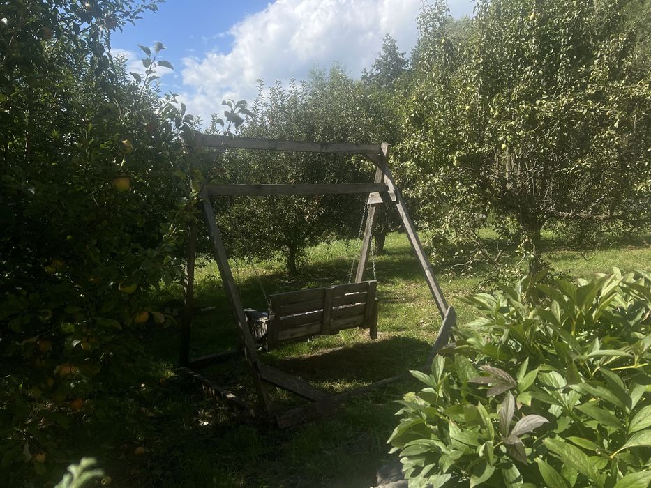 Будинок з власним озером у Великій Солтанівці