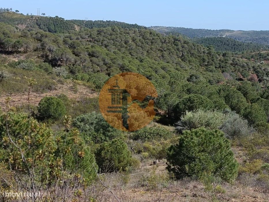 Terreno Com 19.040 M2 Próximo Ao Vale Pereiro Em Odeleite - Castro ...