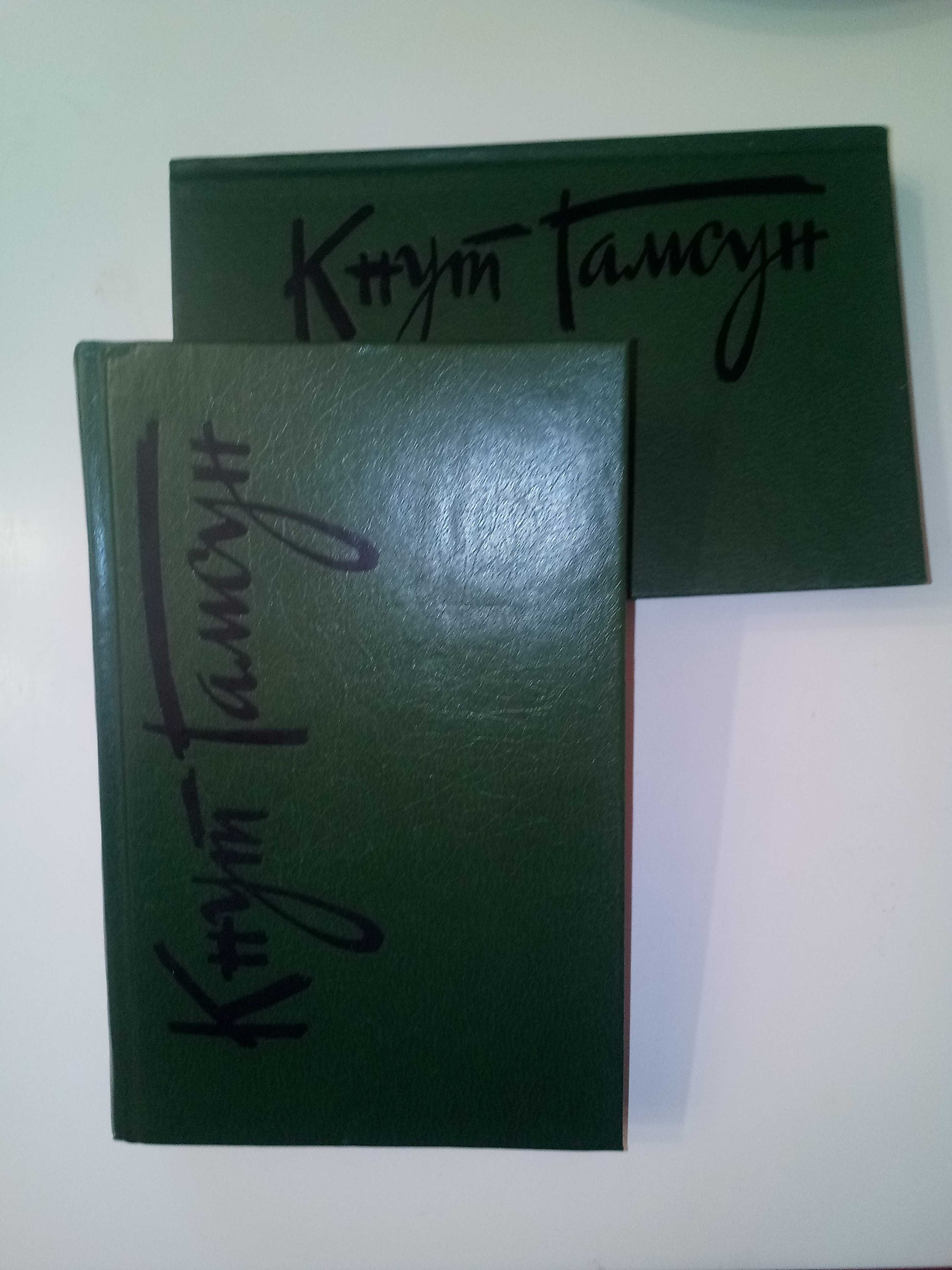 Распродажа домашней коллекции. Стендаль. Дюма. Драйзер. Лимонов и др.
