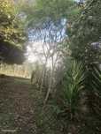 Terreno  para venda