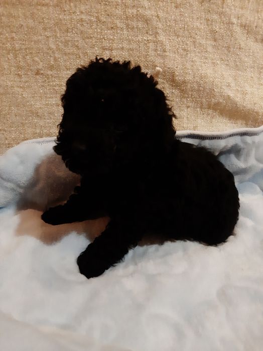 Подрастают мальчики и девочки