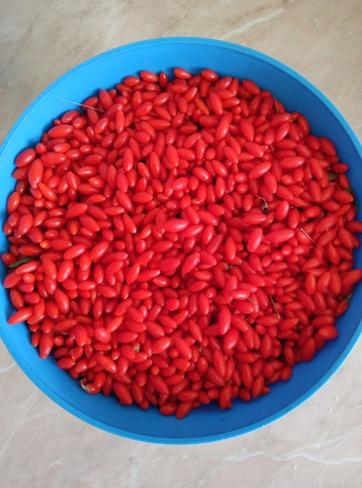 Годжи ягоди свіжі