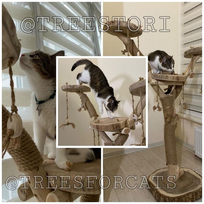 Когтеточка. Гральний комплекс, будинок для кота, кішки. Дряпка котиків