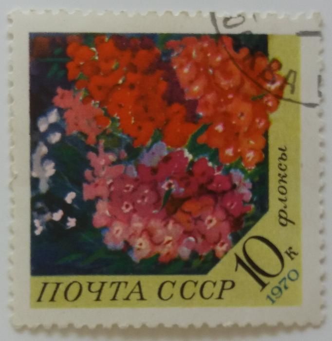 Znaczki pocztowe, ZSRR 1970, Kwiaty