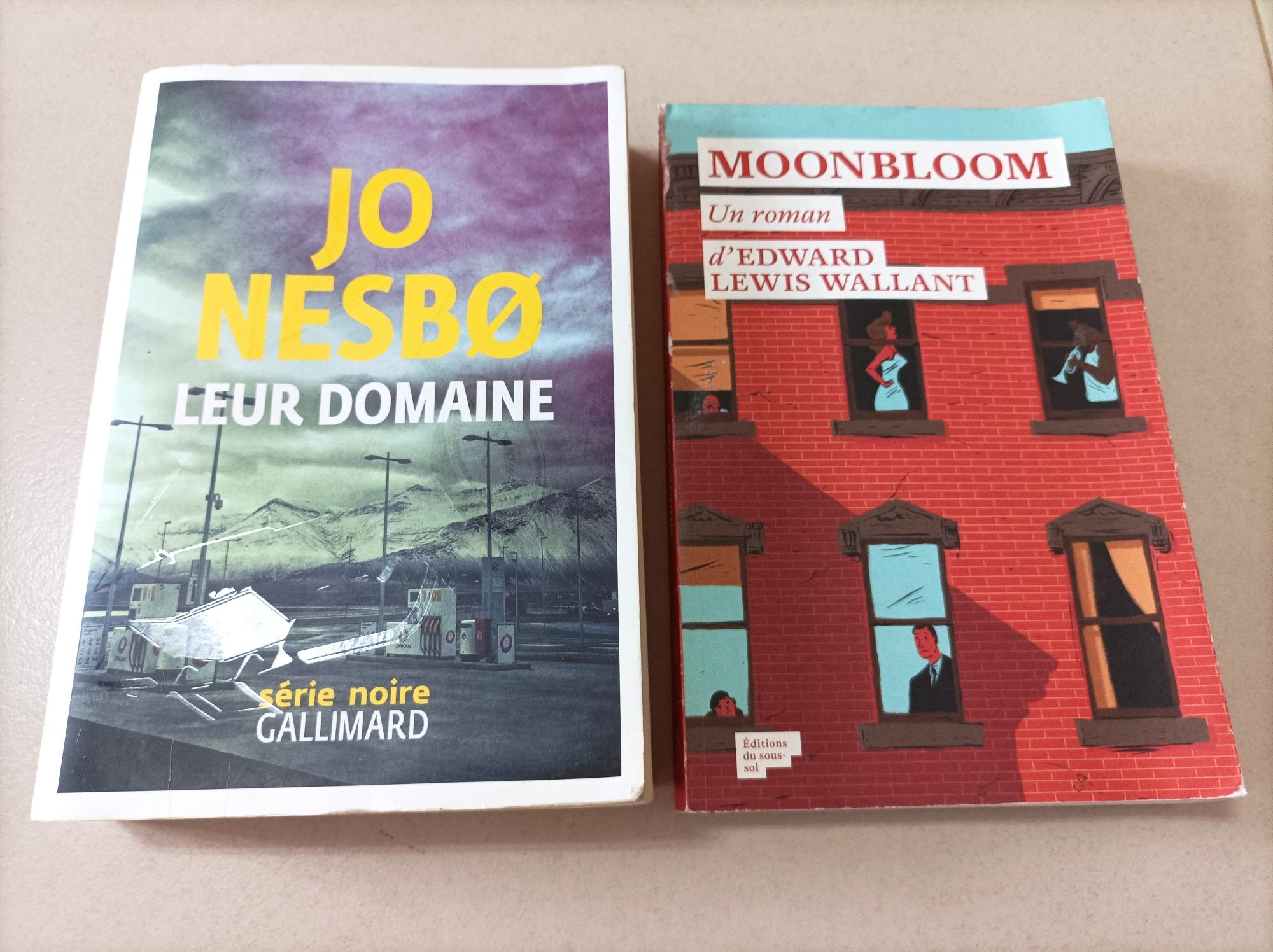 Lote de Livros em Francês - Ken Follett / Jo Nesbo