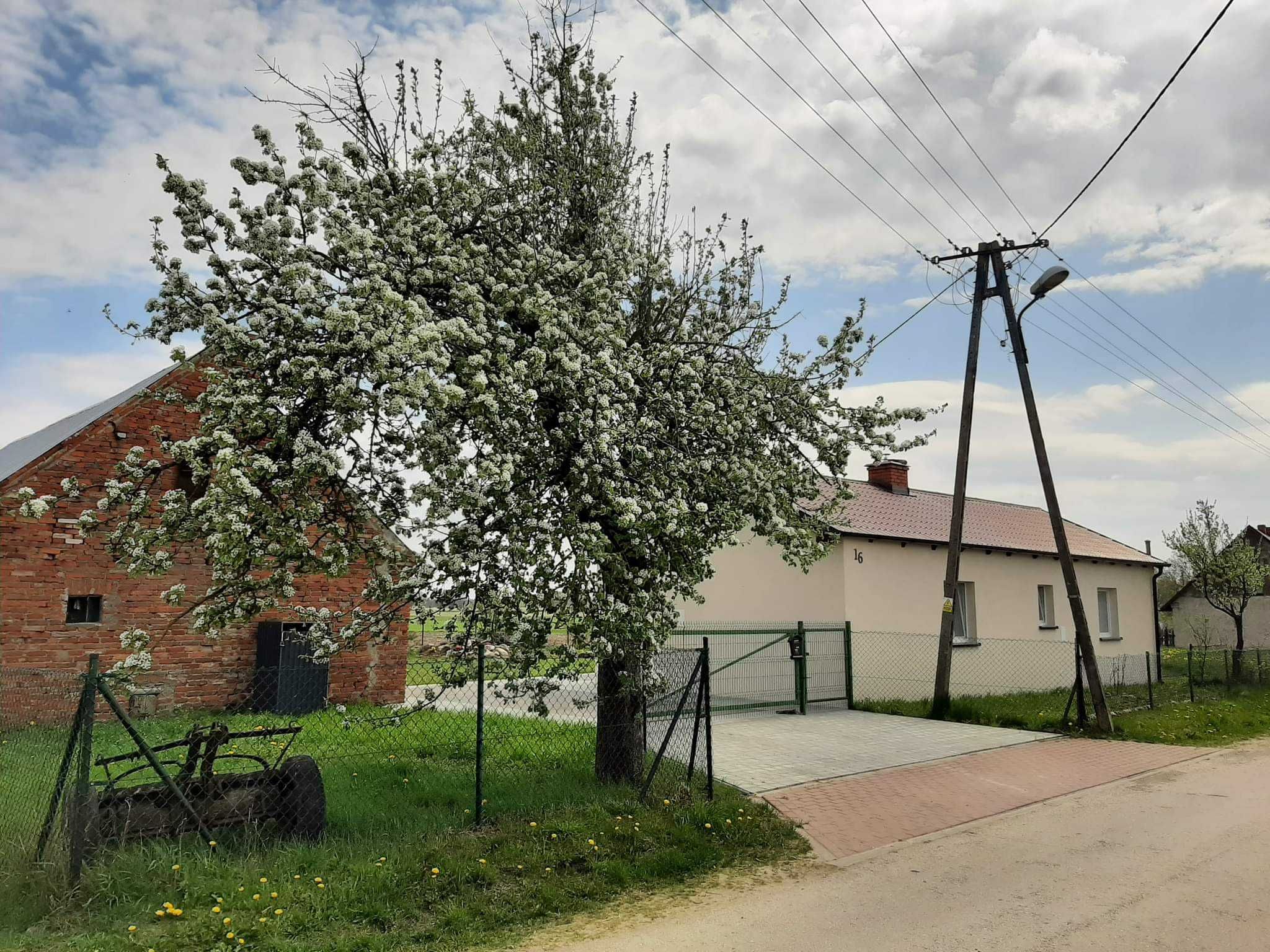 Bory Tucholskie- Domek pod Gruszą