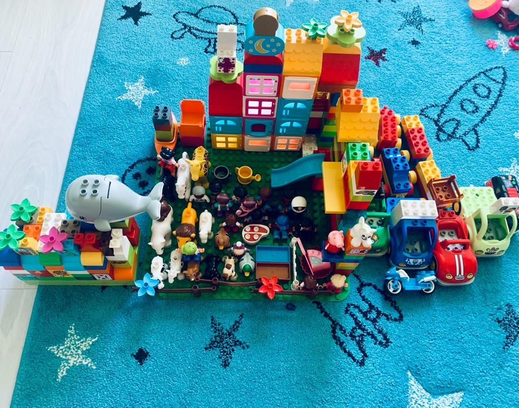 LEGO Duplo różne rodzaje klocków
