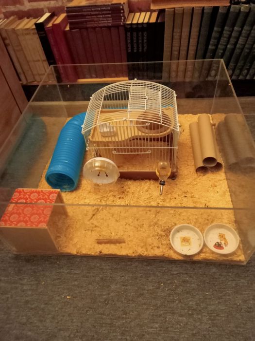 Klatka dla małych gryzoni plus wybieg