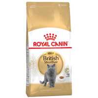 ENVIO GRÁTIS Royal Canin British Shorthair Adulto 10+3kg