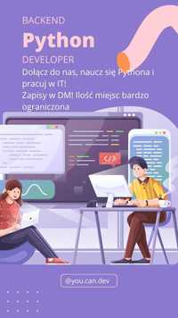 Nauka programowania Python, Mentoring /  Korepetycje