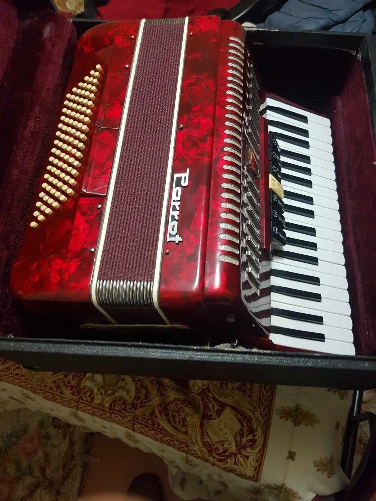 Acordeon para venda