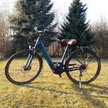 Miejski rower elektryczny Trek Mandara Deluxe+ oraz Kask Giro GRATIS!