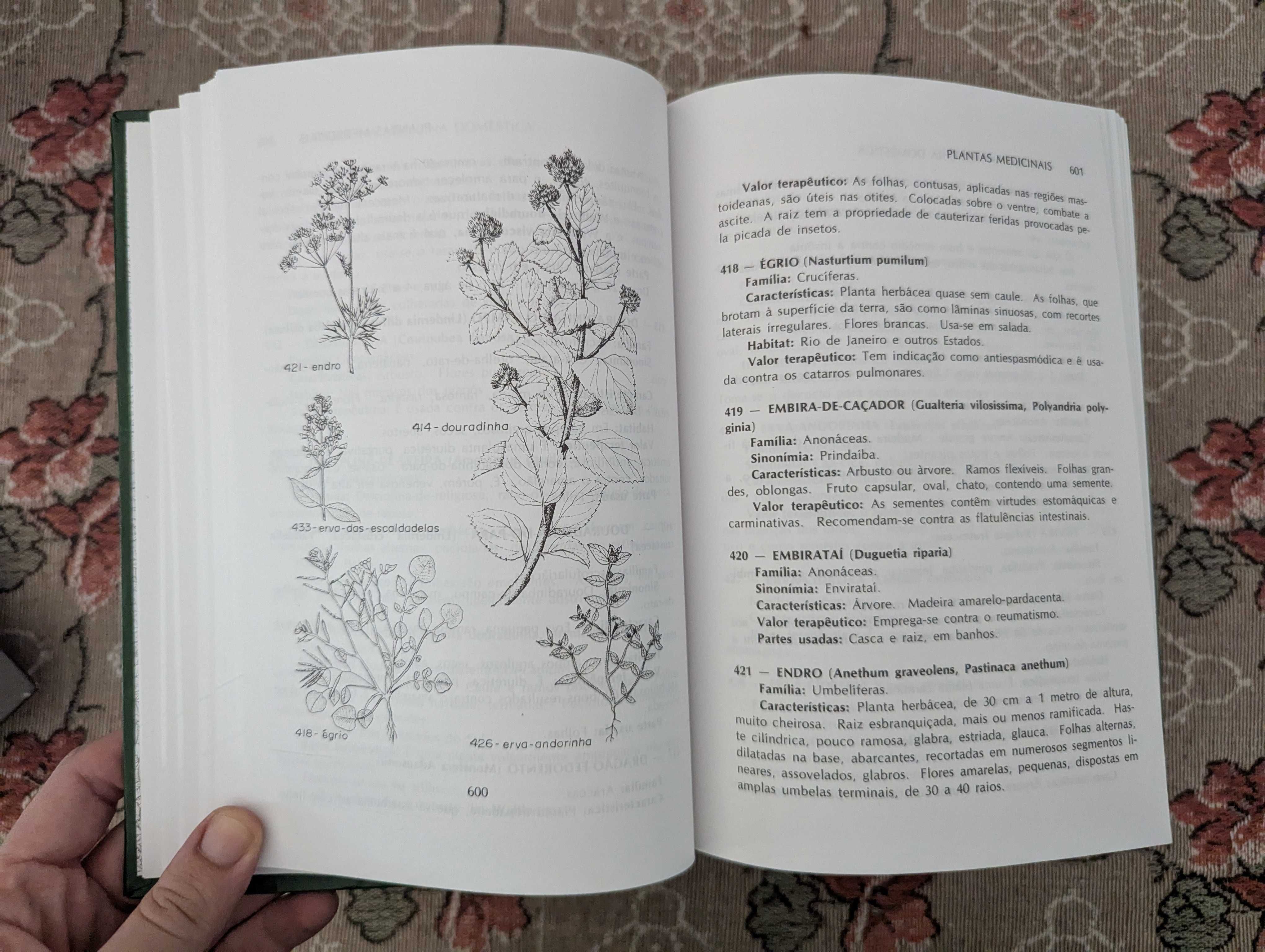 A Flora na Medicina Doméstica