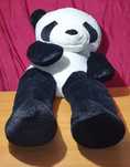 Miś PANDA pluszowy gigant 200 cm, stan BDB