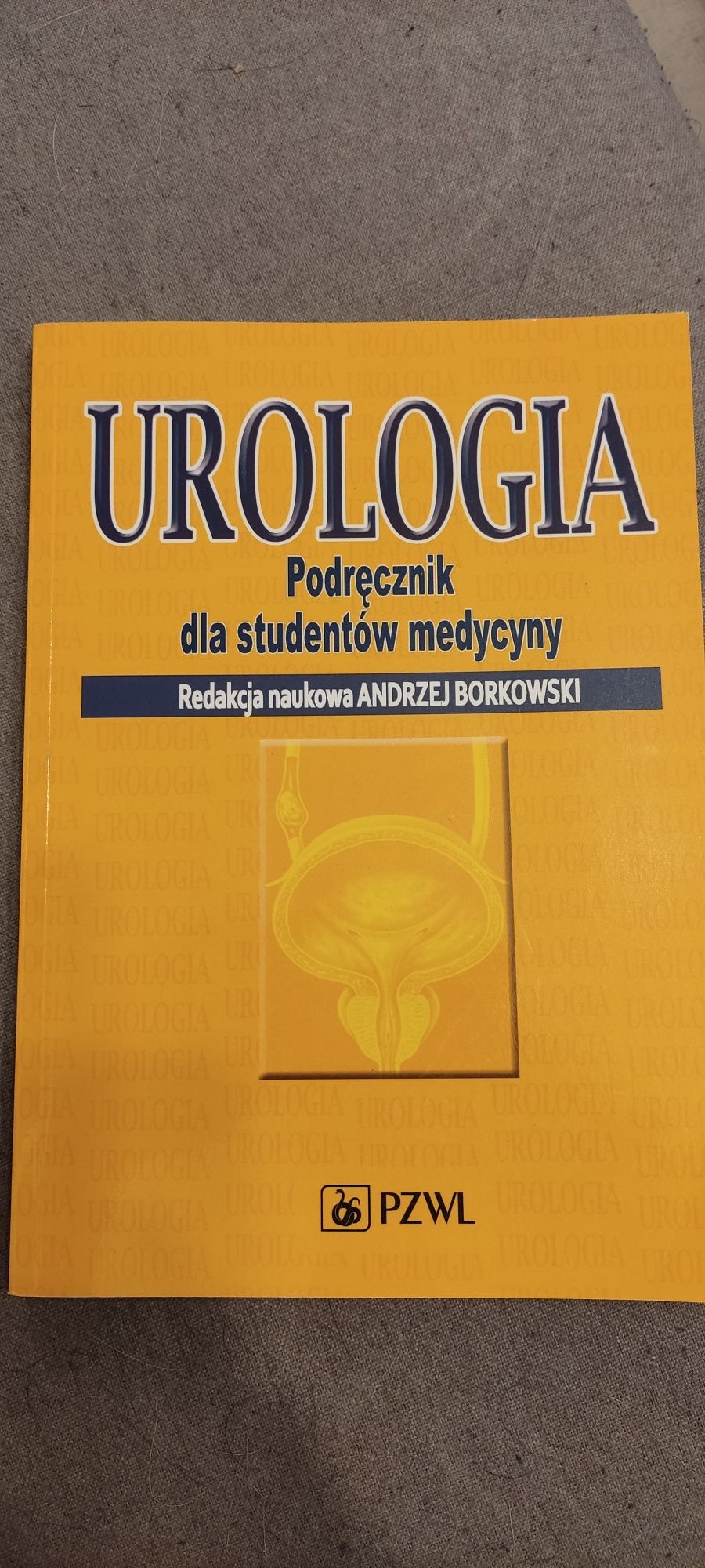 Urologia Podręcznik dla studentów medycyny Andrzej Borkowski