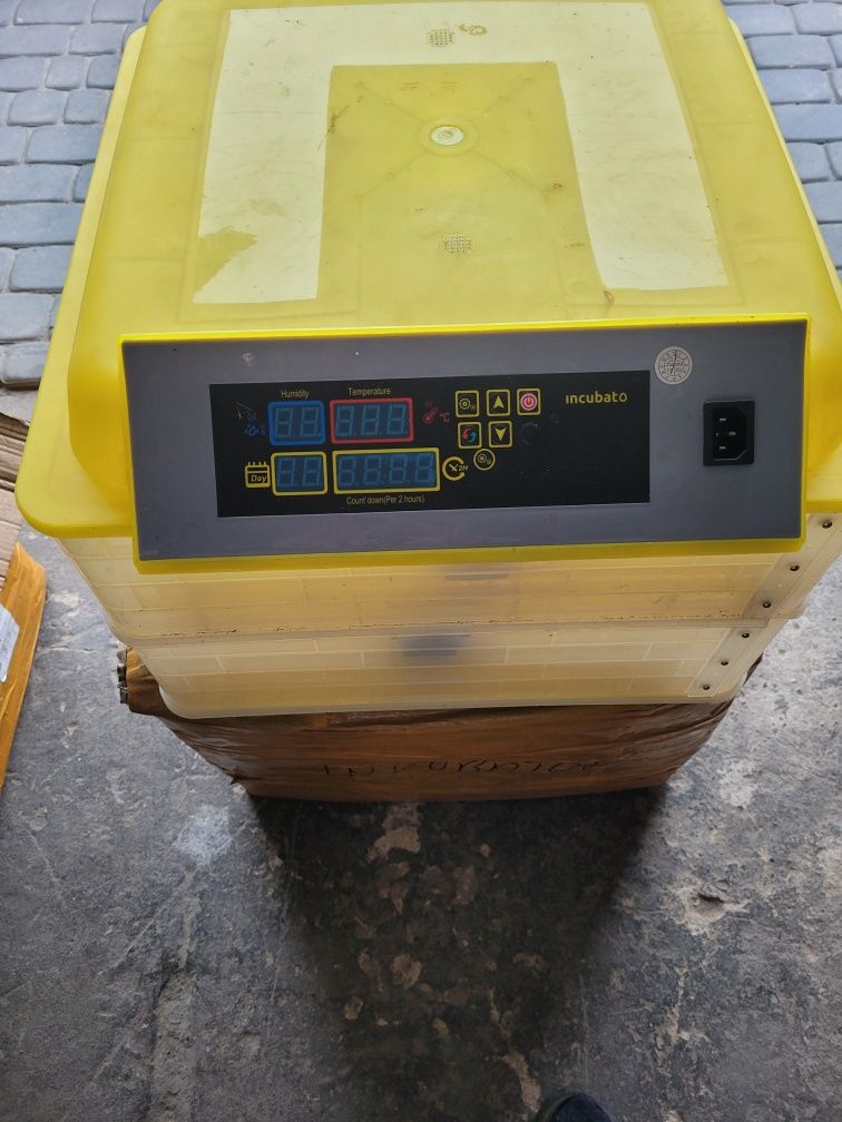 Inkubator automatyczny