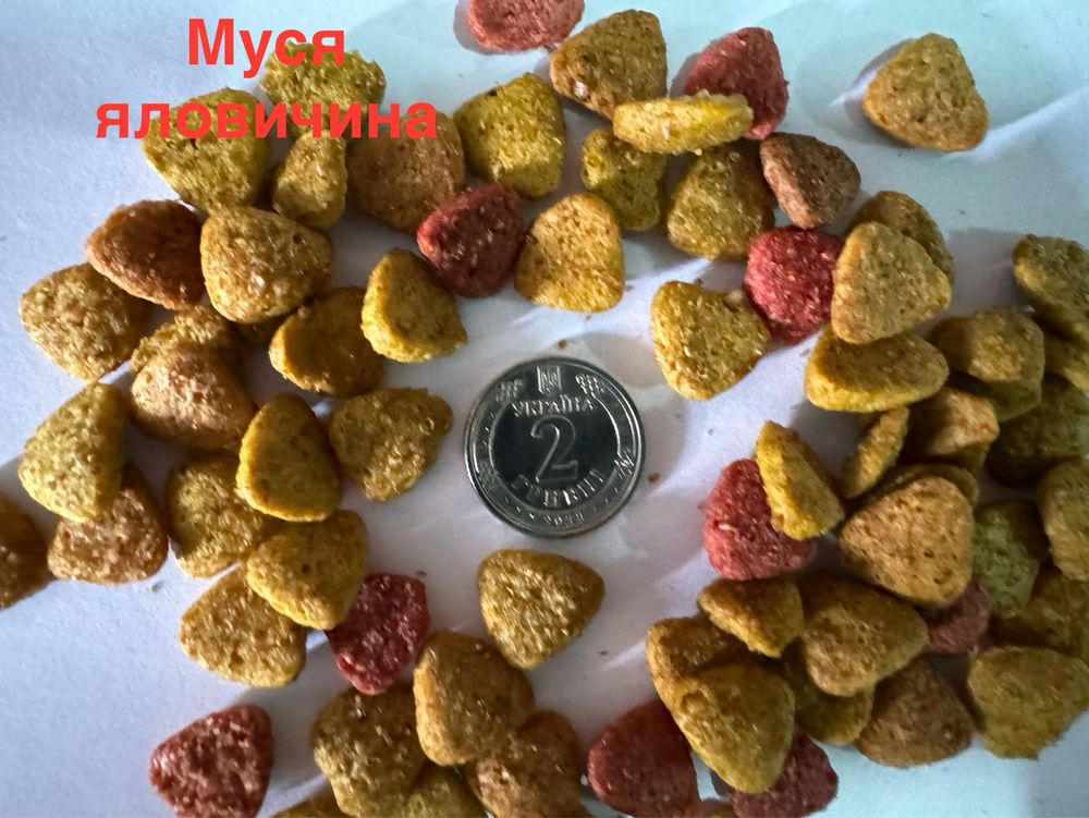 Сухий корм для котиків Муся в асортименті