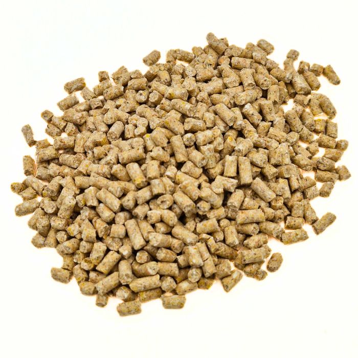 Cielak Start KOJPASZ - Granulat - 25 kg