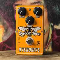 Efekt gitarowy Caline Overdrive Queen Bee CP-503