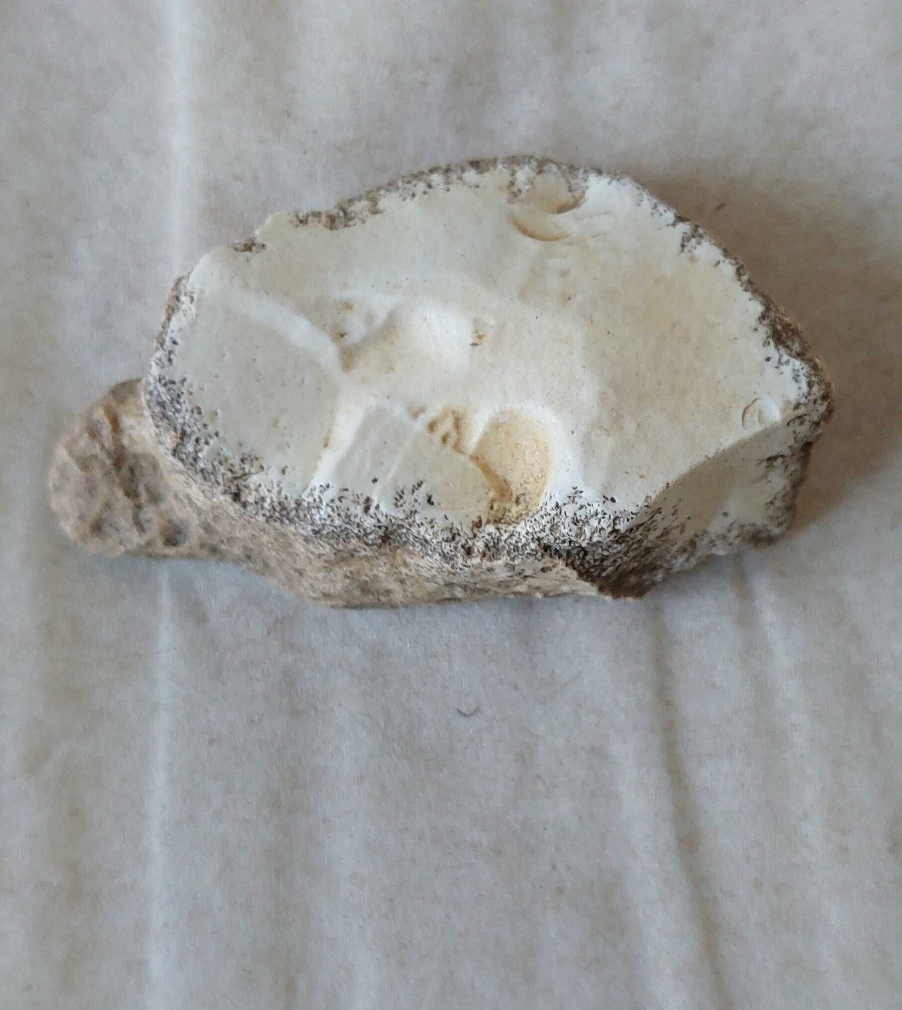Dendrite Rock, Dendritik rock