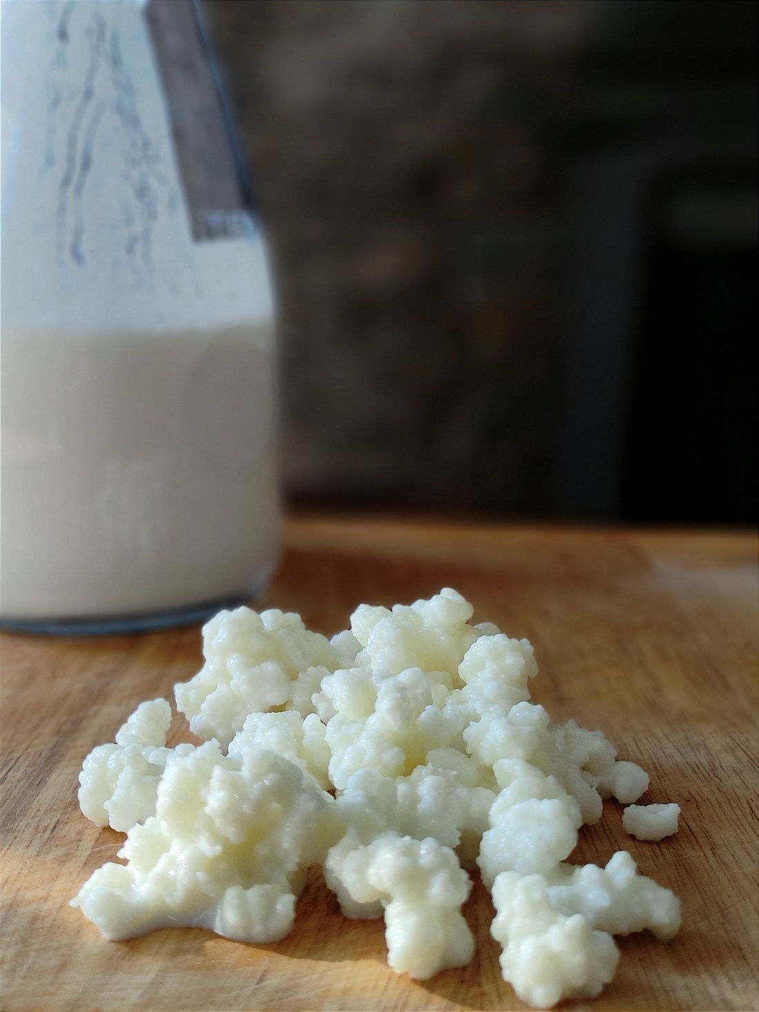 Kefir \ Quefir \ kephir de Leite