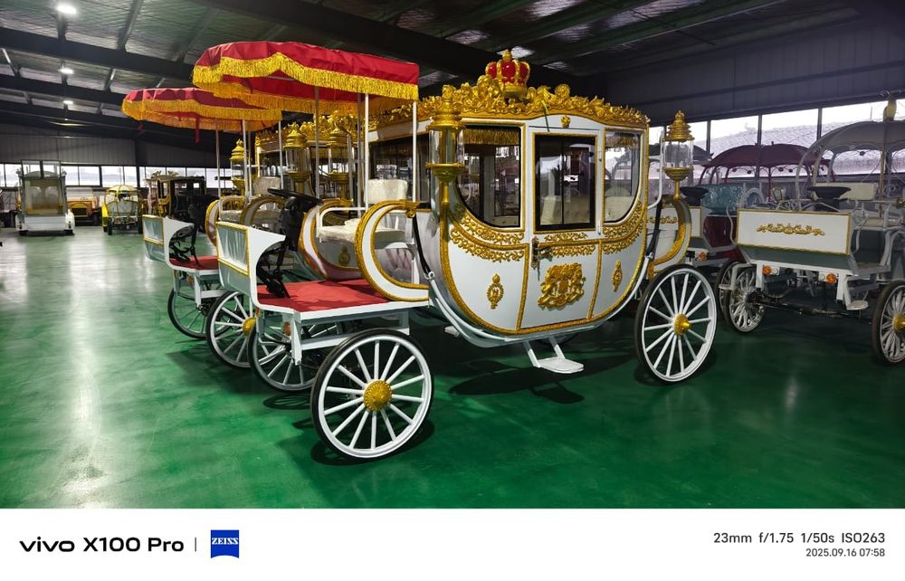 Coche Real Elétrico