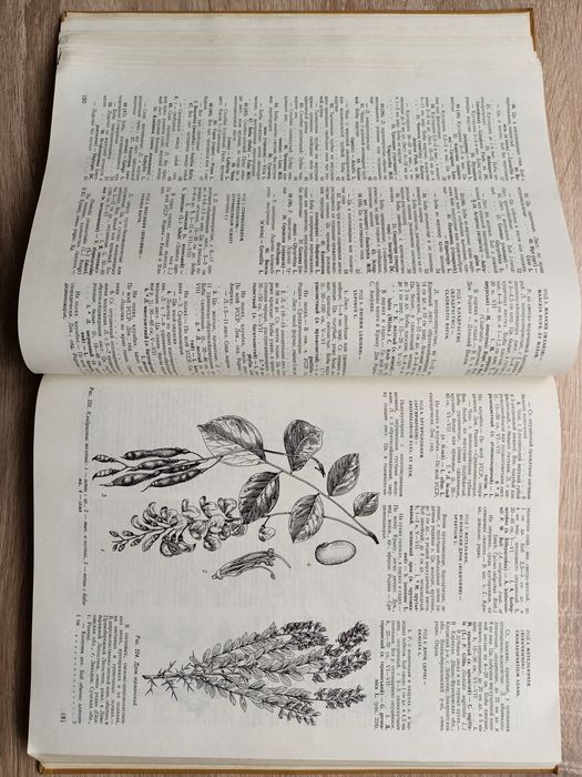 Определить высших растений Украины