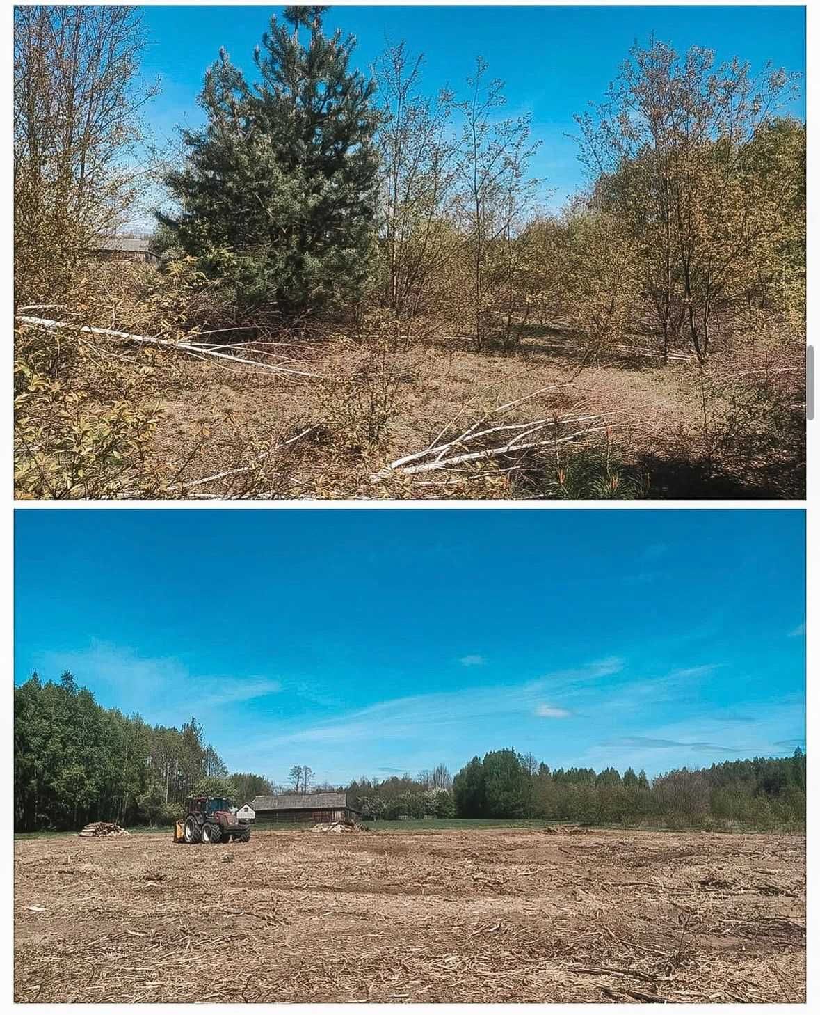 Mulczer, Mulczowanie, Karczowanie, Usuwanie zakrzaczeń
